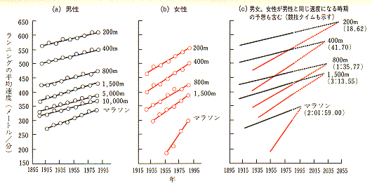 図17 体力の性差