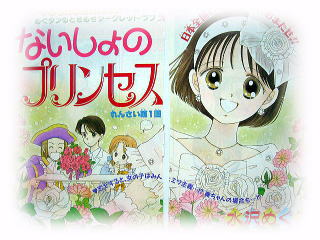 水沢めぐみ ないしょのプリンセス