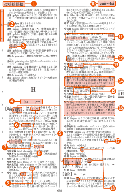 愛知大学中日大辞典